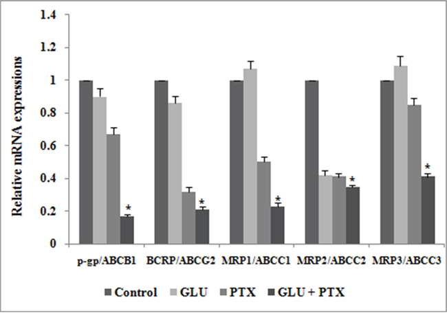 Effect of GLU, PTX and GLU-PTX on relative expression patterns of ABCB1, ABCG2, ABCC1, ABCC2 and ABCC3 in resistant KB cells.