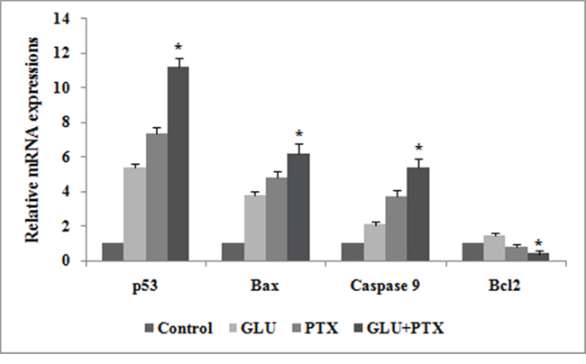 Effect of GLU, PTX and GLU-PTX on relative expression patterns of p53, Bax, Caspase-9 and Bcl-2 in resistant KB cells.