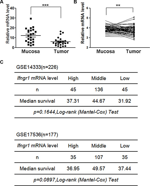 Expression levels of IFNGR1 in colon cancers.