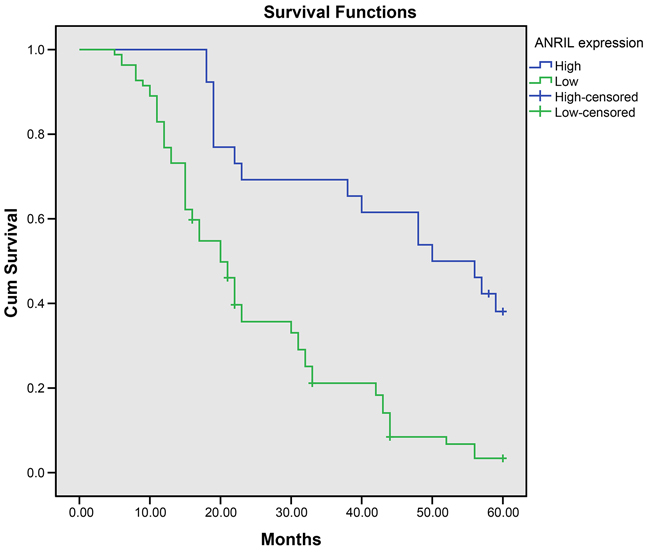 ANRIL expression negatively associates with 5-year survival rate of patients with colorectal cancer.