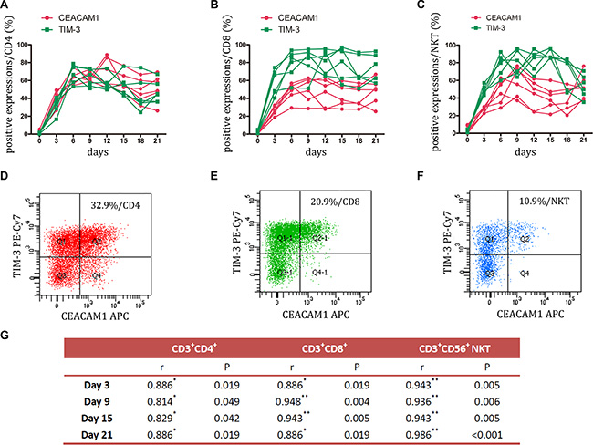 Expression of TIM-3 and CEACAM1 on CIK cells was detected.