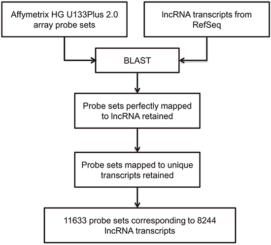 Computational pipeline for re-annotating the probes of the Affymetrix Human Genome U133 plus2.0 array.