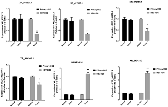 Expression of 6 HH-lncRNAs was validated among patients with primary HCC and HBV-related HCC.