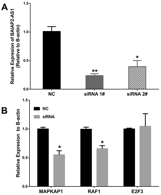 Figure 5: