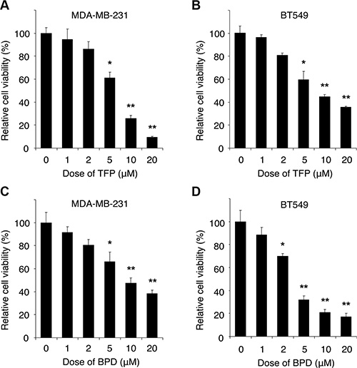 The cytotoxic effect of TFP and BPD on human TNBC cells.