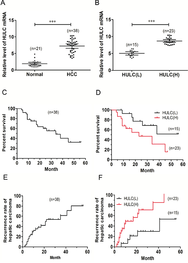 Relative HULC expression in HCC tissues and its relationship with overall survival of HCC patients.