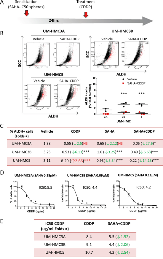 SAHA sensitizes tumor cells to Cisplatin.