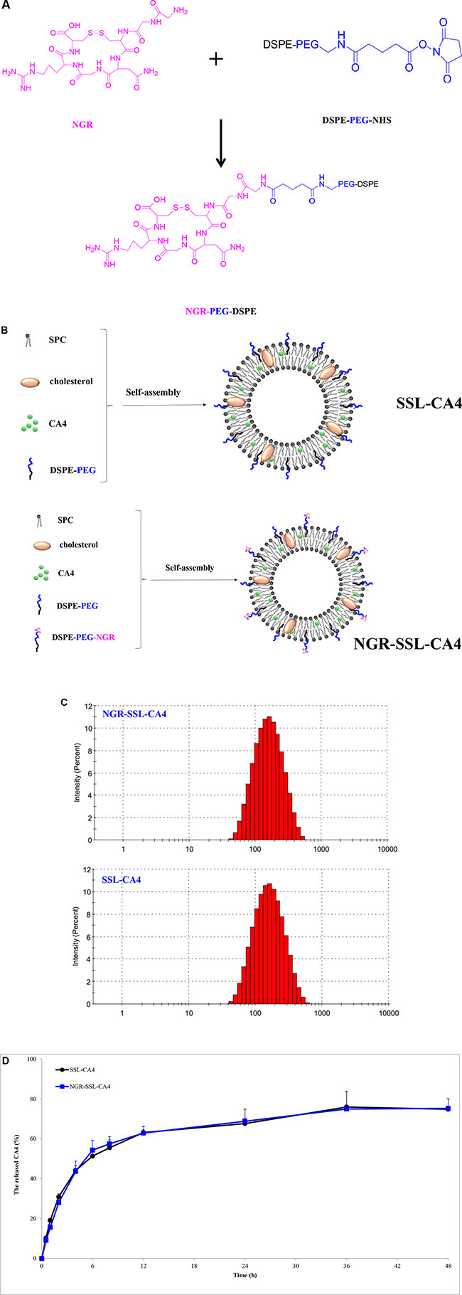The preparation and characterization of NGR-SSL-CA4.