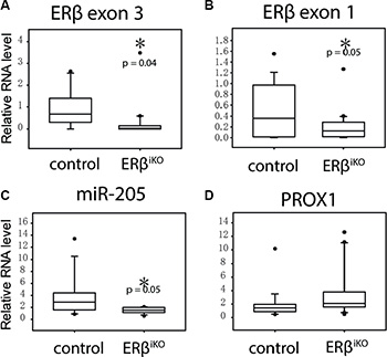 Intestinal-specific KO of ER&#x03B2; results in decreased miR-205 in colon epithelial cells.