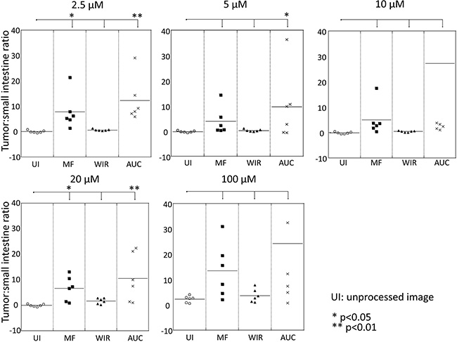 Comparison of tumor:small intestine ratio of three parameters, MF, WIR, and AUC, compared to that of unprocessed image.