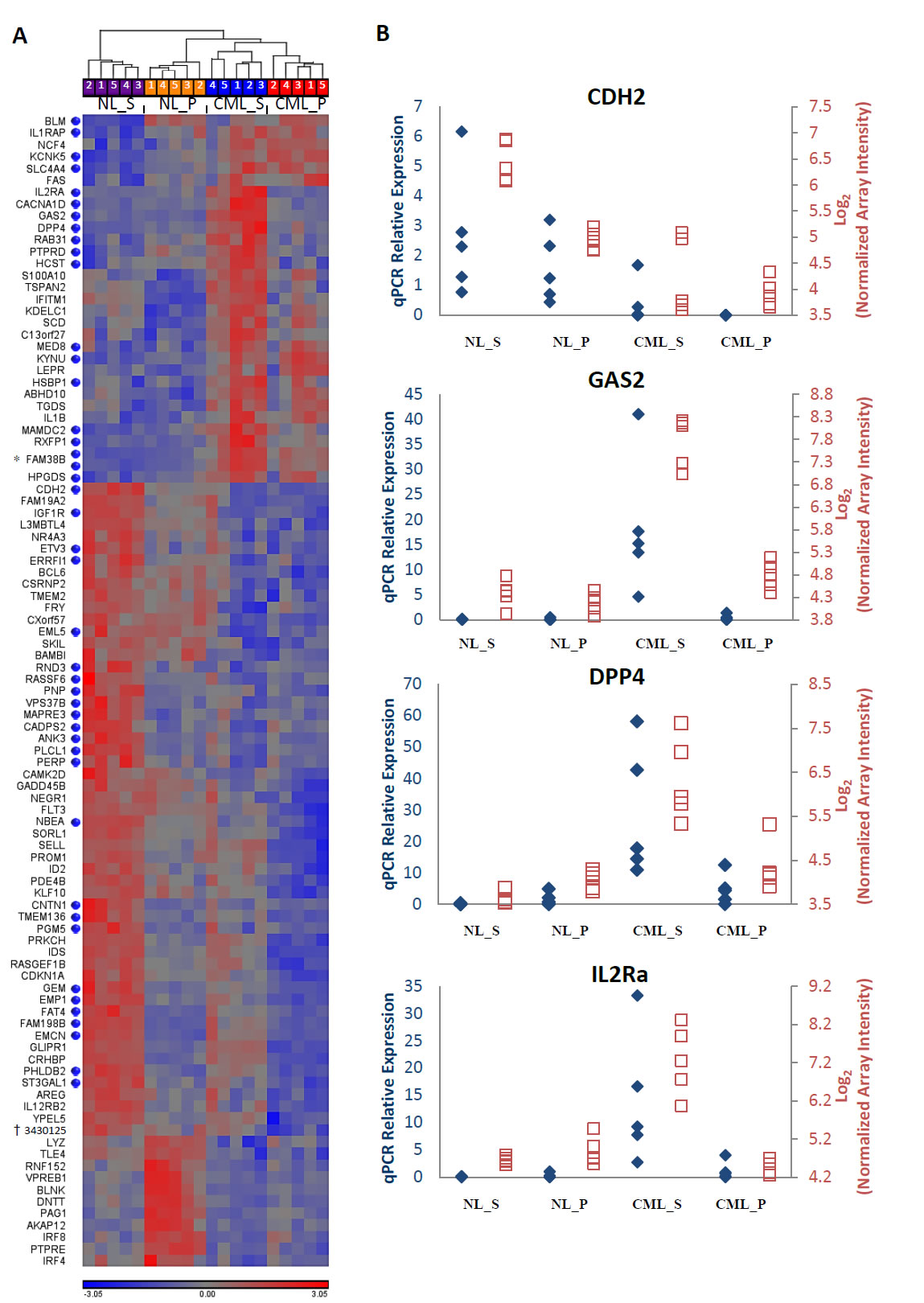 Differentially expressed genes between CML and normal stem and progenitor cells.