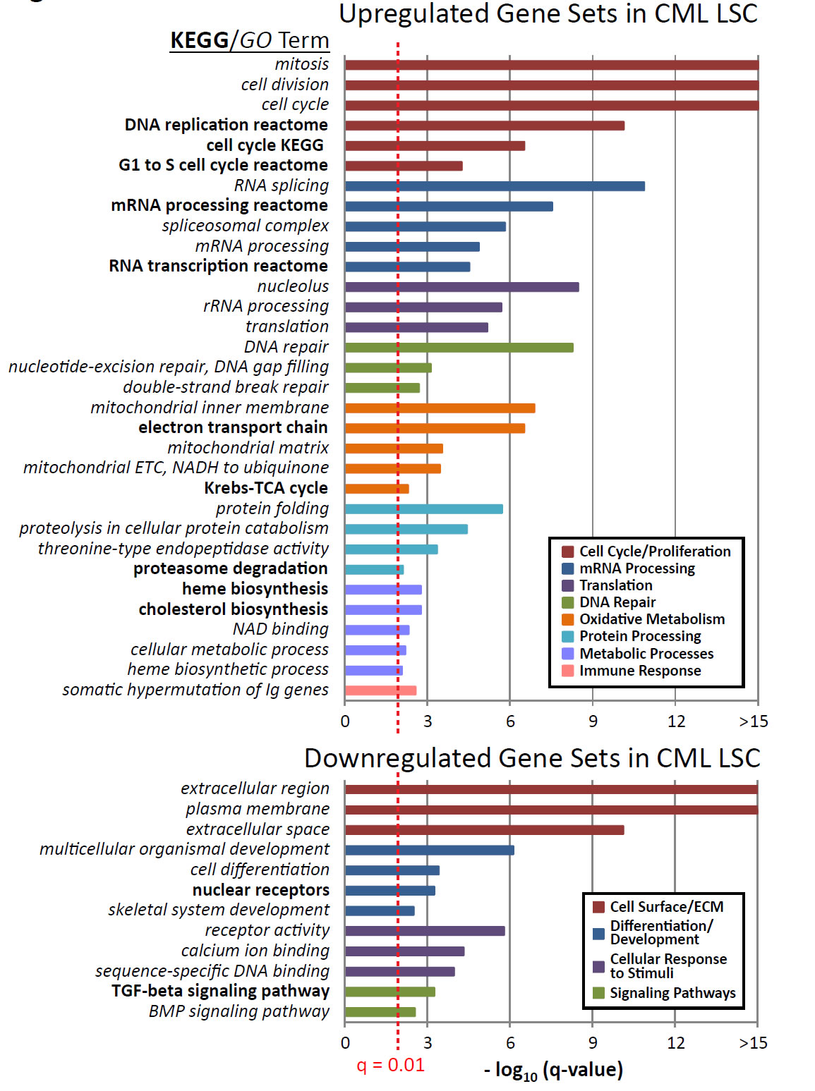 Altered cellular functions and pathways in CML LSCs compared to normal HSCs.