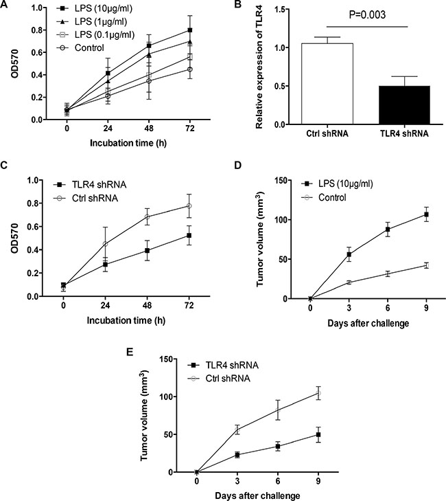 Activation of TLR4 with LPS promoted primary human lung cancer outgrowth.