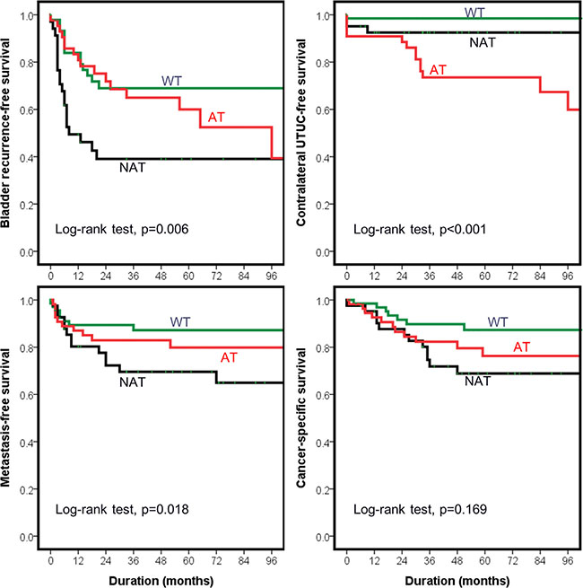 Outcomes of upper urinary tract urothelial carcinoma (UTUC) patients stratified by mutational status of TP53.