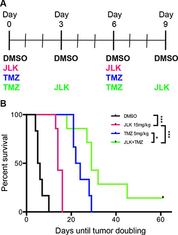TMZ+JLK1486 treatment delays tumor doubling in vivo.