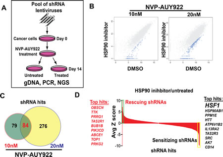Pooled shRNA screening reveals that