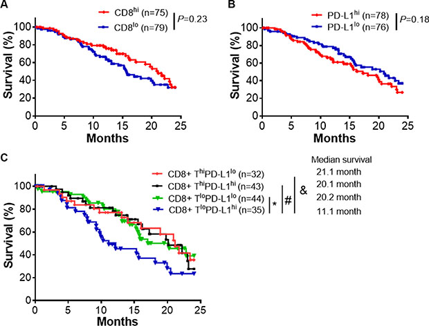 CD8+ T cell infiltrates and PD-L1 expression predict clinical outcomes.