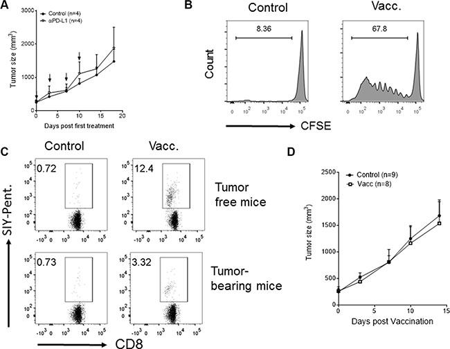 PD-L1 blockade- or vaccination-based immunotherapies fail to cause regression of established tumors with the phenotype of low CD8+ T cell infiltrates and high PD-L1 expression.