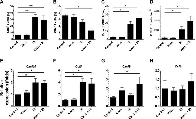 Local radiation alters chemokine expression and preferentially enhances CD8+ T cell over Treg infiltration in the fragment tumors.