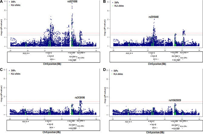 Association results of stepwise conditional logistic regression analysis for CIN3 at 6p21.3.