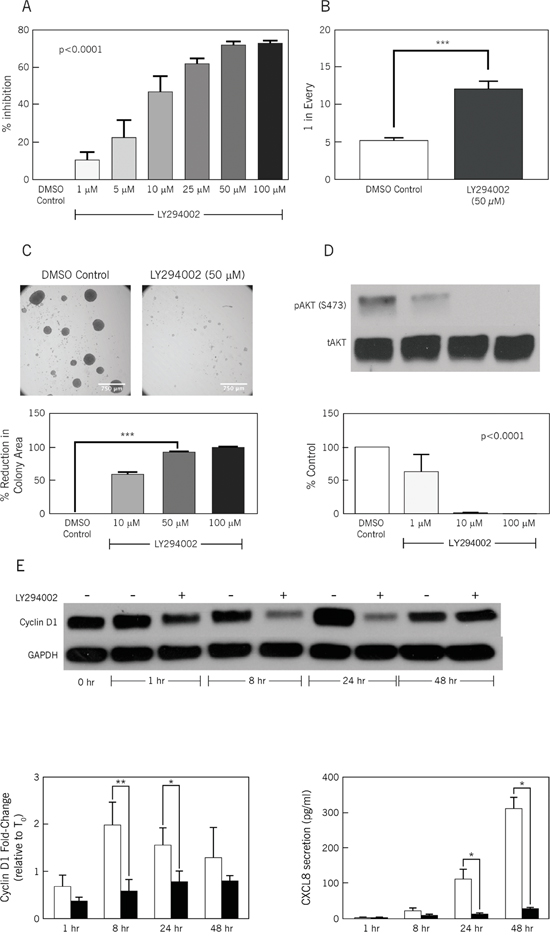 LY294002, a PI3K inhibitor, inhibits stem cell frequency and proliferation.