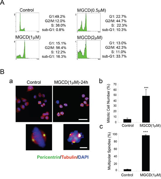MGCD induces multipolar spindles and cell cycle M phase arrest in CNE2 cells.