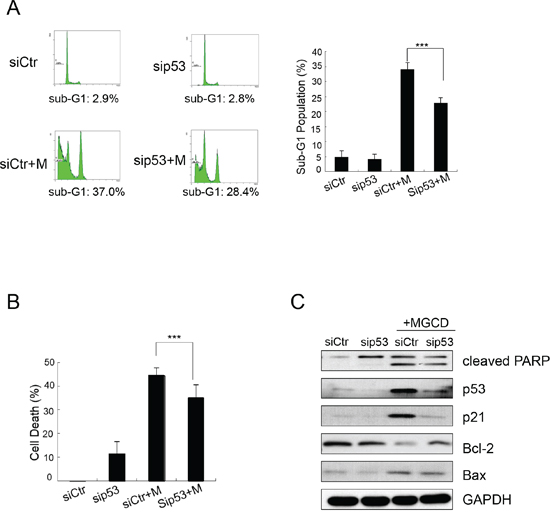 MGCD induces apoptosis by up-regulating p53 in CNE2.