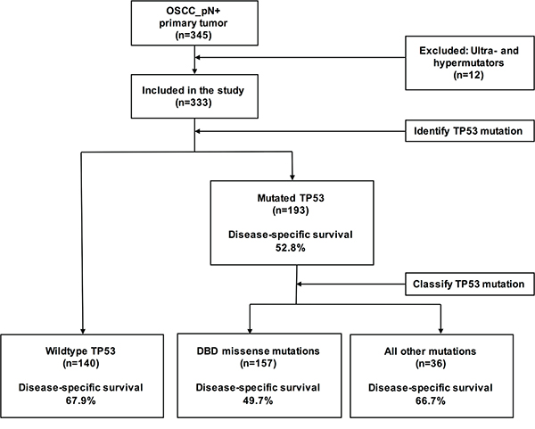 Flow of OSCC patients through the study and TP53 mutation analysis.