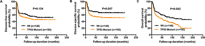 Reduced DFS, DSS, and OS in OSCC patients harboring TP53 mutations.