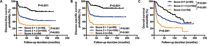 Prognostic scoring system for DSS.