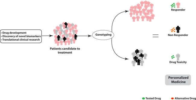 Genotyping platform for personalized therapy: genetic variants in pharmacodynamics and pharmacokinetics related genes determine inter-individual variability and therapeutical outcome.