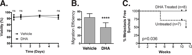 DHA treatment inhibits lung metastasis.