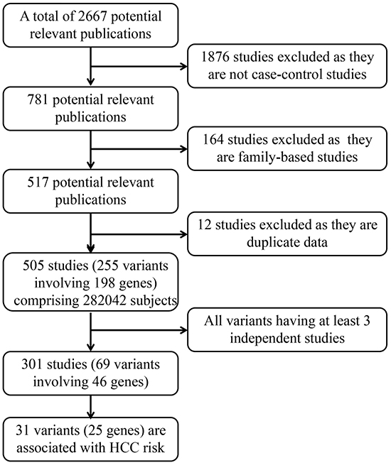 Profiles of literature search, meta-analysis and evaluation of cumulative evidence.