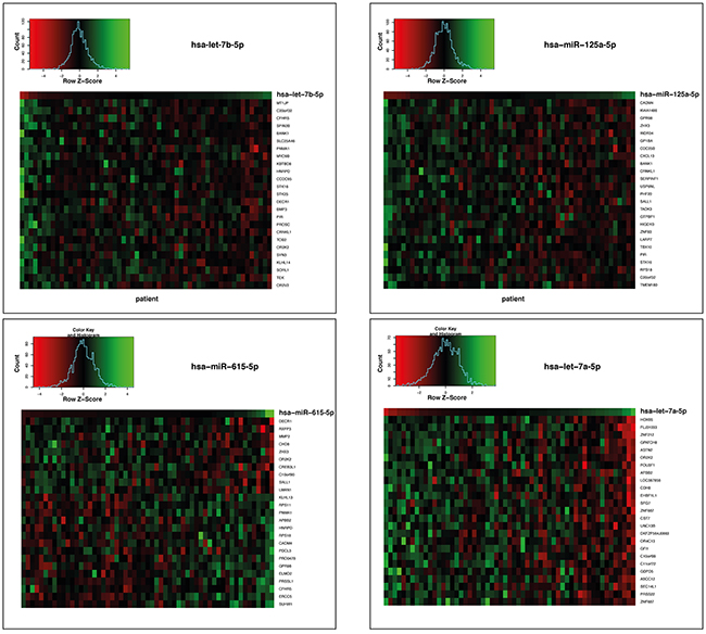 Heatmaps of the gene expressions correlating with the 4 miRNAs hsa-let-7b-5p, hsa-miR-125a-5p, hsa-miR-615-5p and hsa-let-7a-5p the age- and sex-matched TCGA GBM cohort of standard-of-care treated patients.