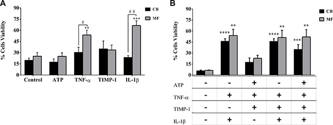 Survival of CD34+ cells from MF patients is increased by IL-1&#x03B2; and TNF-&#x03B1;.