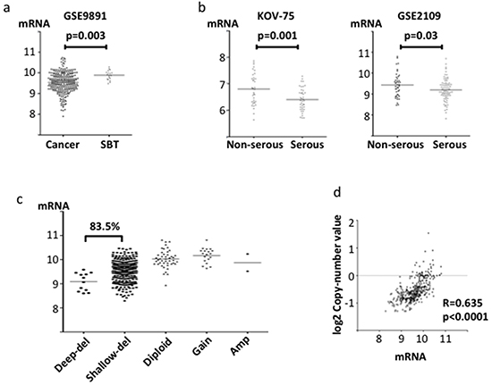 CYB5R3 mRNA expression and copy number in clinical specimens.