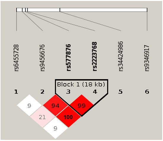 Linkage disequilibrium (LD) plot of 6 SNPs in PARK2 gene.