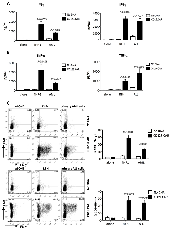 Specific cytokine production of CD123.CAR and CD19.CAR CIK cells.