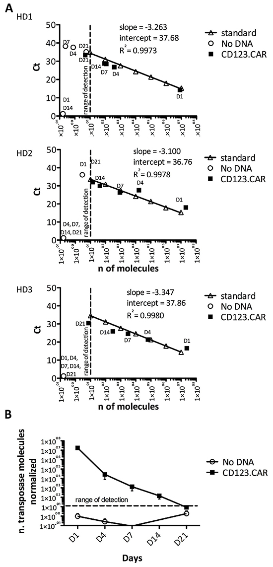 Transposase clearance in transduced CIK cells.