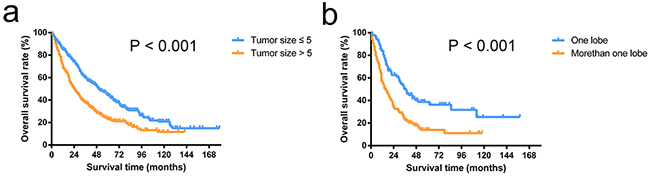Overall survival curves of patients stratified by tumor thrombus status.