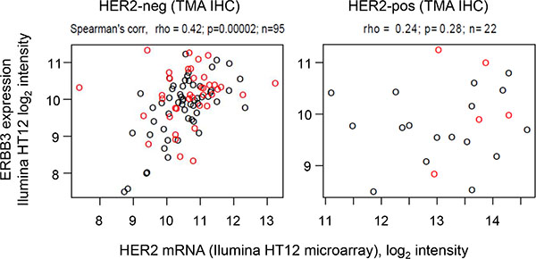 HER2 and HER3 expression levels from IIlumina HT12 microarray.