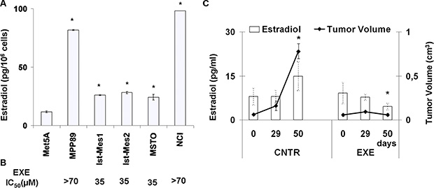 Evaluation of E2 levels on normal and malignant mesothelium.