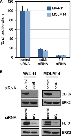 FLT3-ITD cell lines are dependent on CDK6.