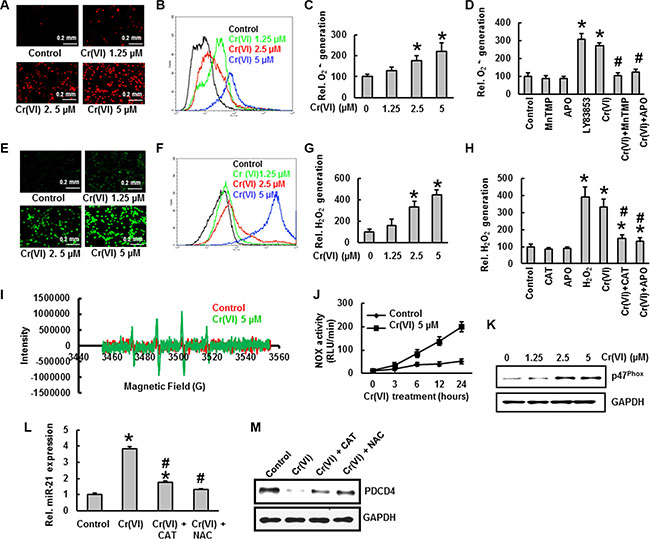 ROS generation is critical to effect an acute Cr(VI)-induced miR-21 &#x2013;PDCD4 signaling cascade.