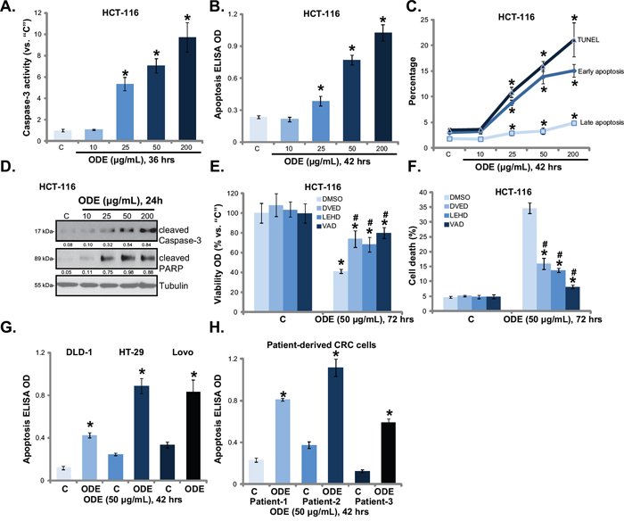 ODE activates apoptosis in CRC cells.