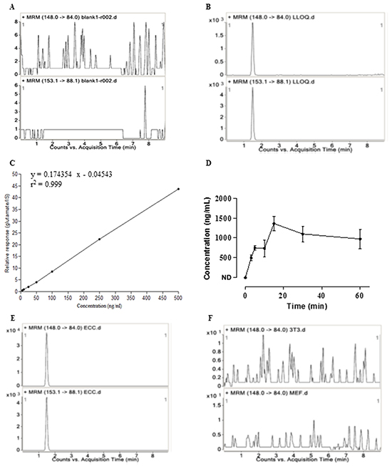 Release of glutamate by embryonal carcinoma cells determined by HPLC-MS/MS.