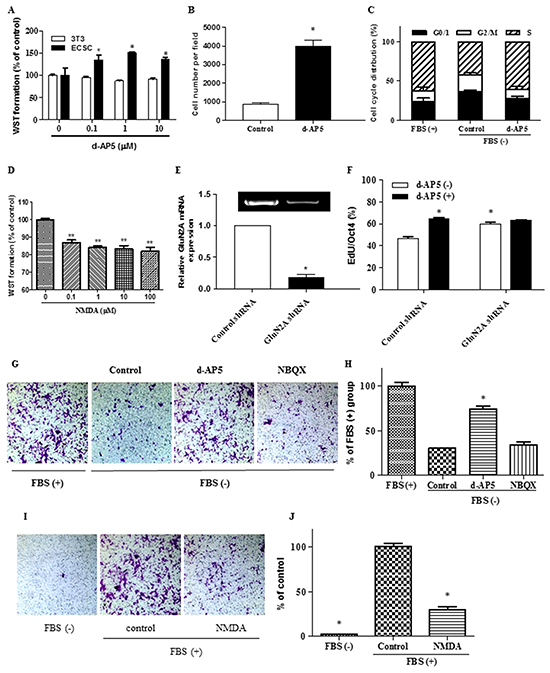 Regulation of embryonal carcinoma stem cell proliferation and migration by endogenous glutamate signaling.