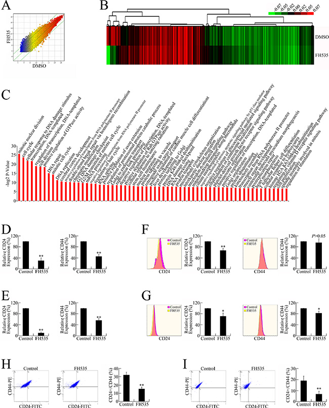 FH535 repressed pancreatic cancer cell stemness.