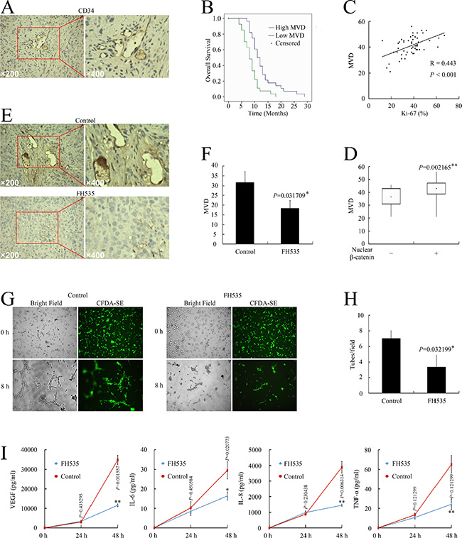 Nuclear &beta;-catenin expression correlated with angiogenesis in pancreatic cancer.