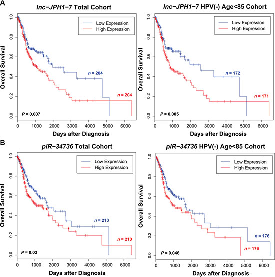 Selected ncRNAs exhibiting significant correlation to HNSCC patient survival.